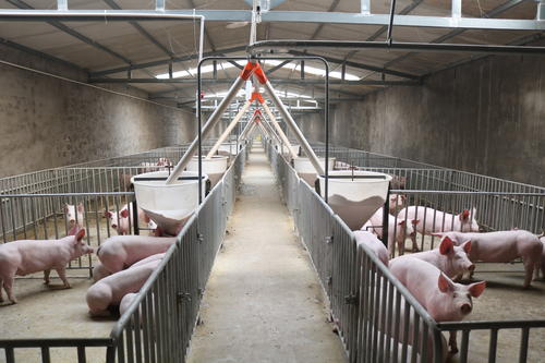 養豬廠廢水怎么處理？-樂中環保