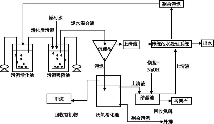 廢水排放的生物學(xué)指標(biāo) 廢水排放的生物學(xué)指標(biāo)