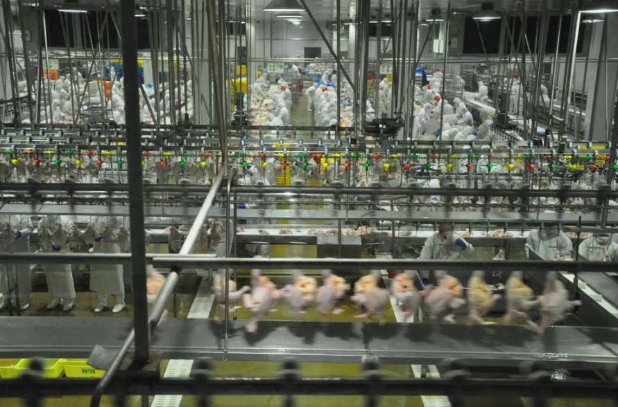 食品加工企業污水處理方案|方法|工藝流程 食品加工企業污水處理方案|方法|工藝流程