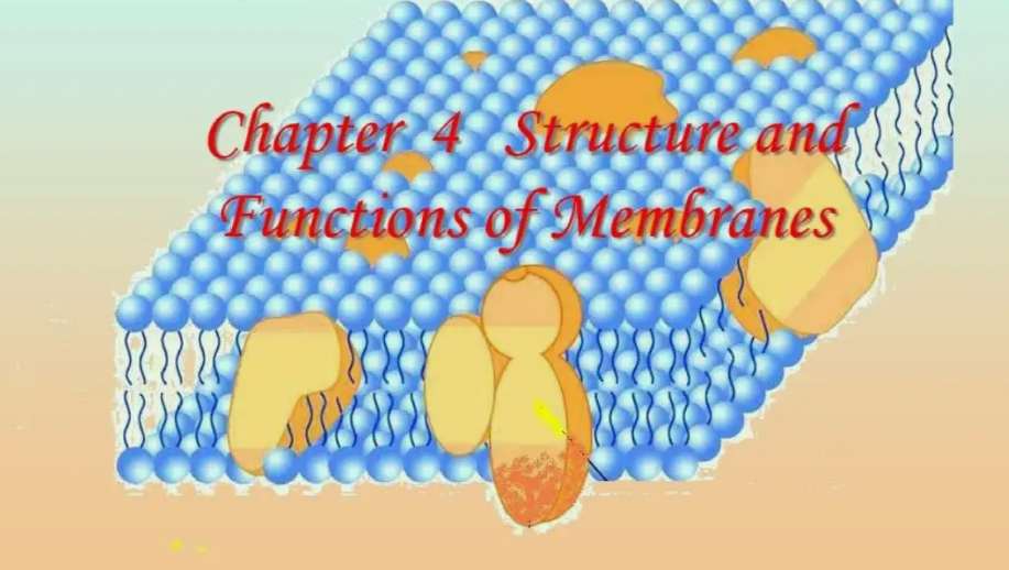 生物膜法和活性污泥法的區別是什么（活性污泥法與生物膜法優缺點）