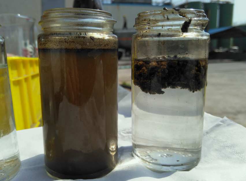 AO工藝出水SS高什么原因|怎么辦？