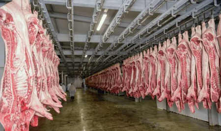 常見(jiàn)的屠宰場(chǎng)設(shè)備有哪些（屠宰場(chǎng)設(shè)備要多少錢(qián)）